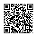 To view this 2013 Ford Fiesta Helena MT from Deals on Wheels - Helena, please scan this QR code with your smartphone or tablet to view the mobile version of this page.
