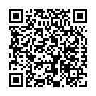 To view this 2009 Chrysler PT Cruiser Kalispell MT from Deals on Wheels - Helena, please scan this QR code with your smartphone or tablet to view the mobile version of this page.